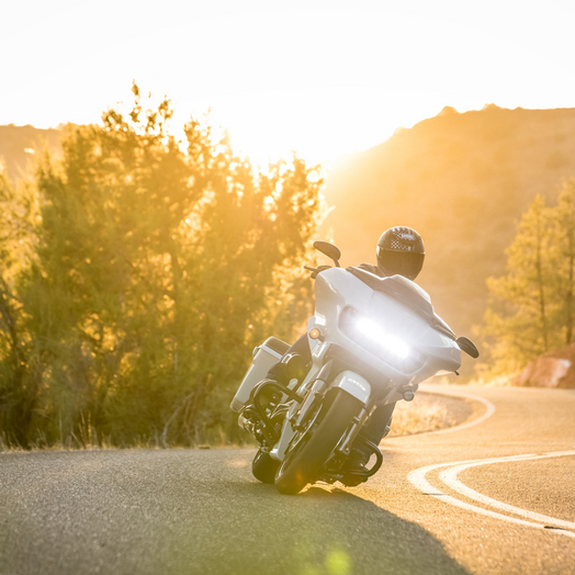 
                  
                    SHOEI RF-1400 Dedicated 2 Helmet
                  
                