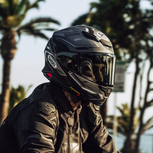 
                  
                    SHOEI RF-1400 Capriccio -Helmet
                  
                